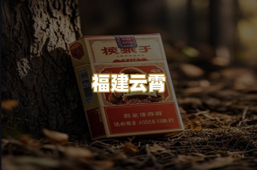福建云霄